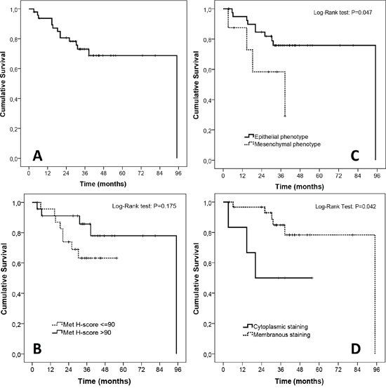 Exploratory survival analyses in the TMA cohort.