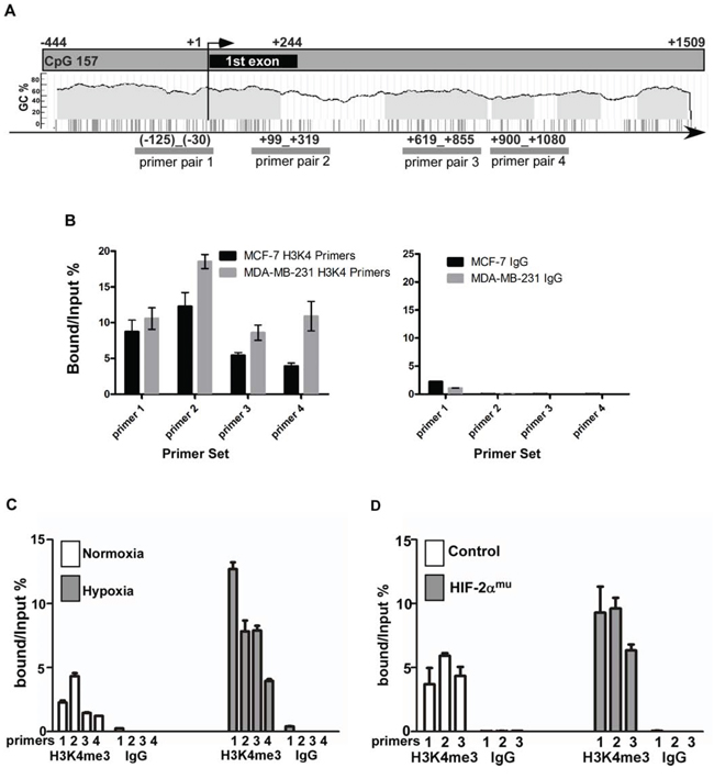 Epigenetic alterations within the CEMIP promoter region induced by hypoxic stress.