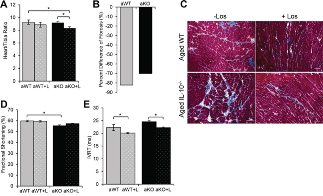 Effects of losartan treatment on cardiac remodeling and function.