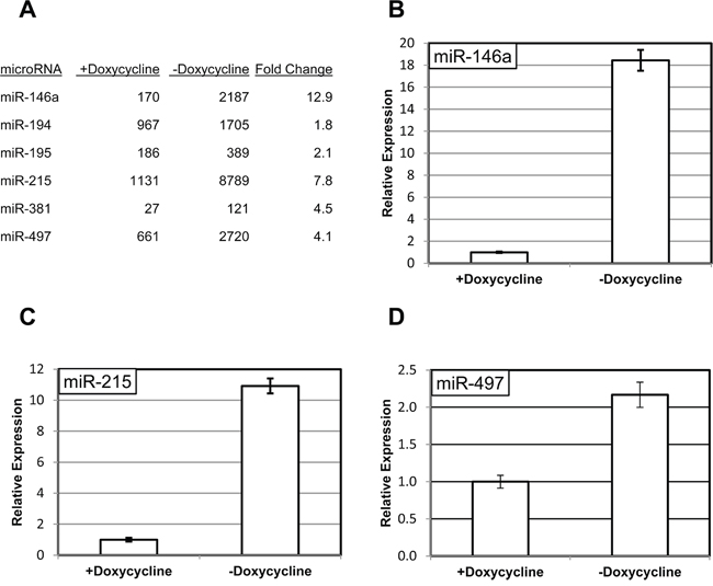 RIPK1-dependent changes in miRNA expression.