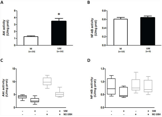 SIM effectively counteracts SC-induced Akt upregulation in IGHV UM cells.
