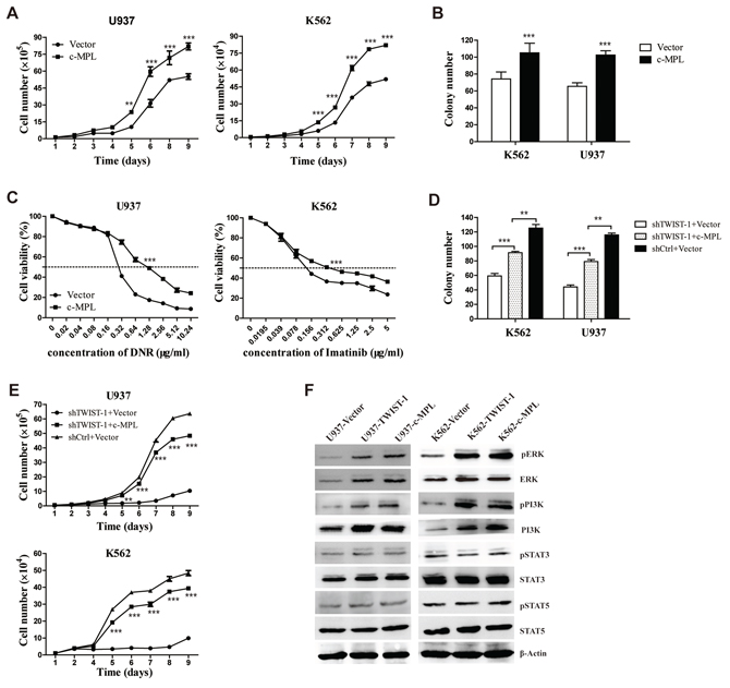TWIST-1 promotes cell growth and drug resistance depending on c-MPL.