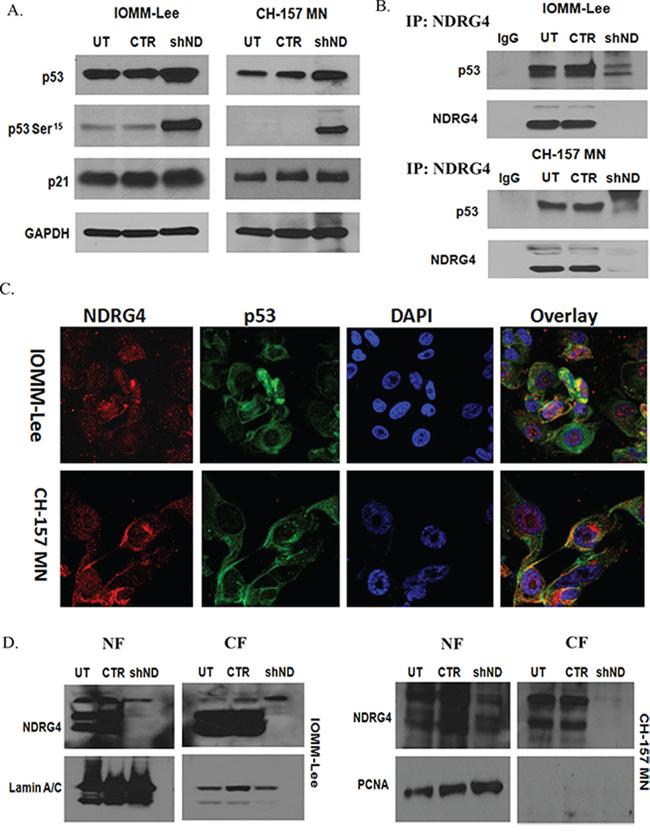 Figure 4: