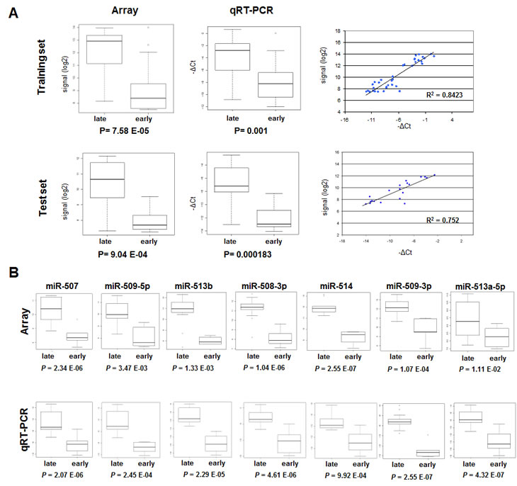 qRT-PCR validation of the chrXq27.3 miRNA cluster.