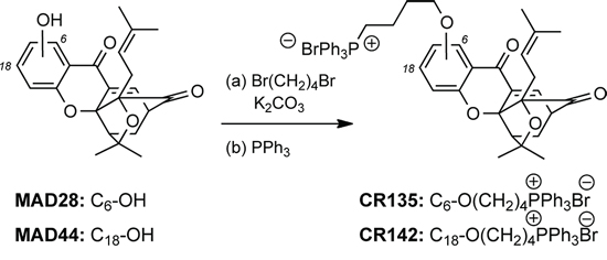 Scheme 1: Reagents and conditions for the synthesis of CR135 and CR142.