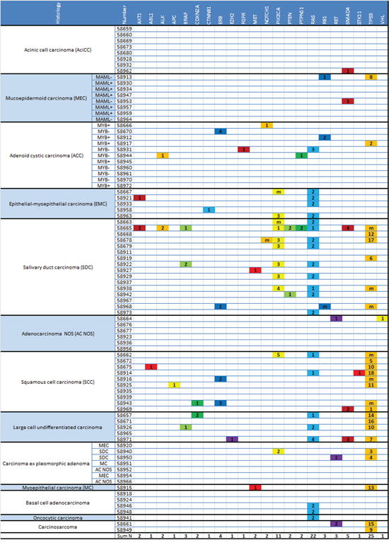 Mutational status in subtypes of SGC. Detected mutations are displayed for each gene/gene family and each tumor sample, sorted by histological subtype (see Table 2 for key of mutation numbers).