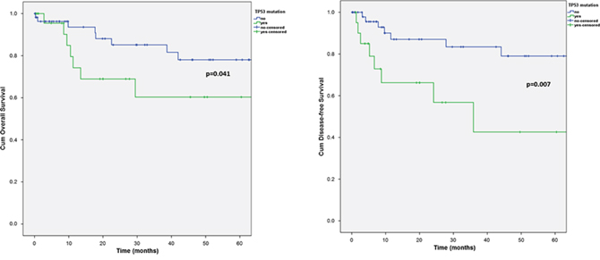 Kaplan-Meier chart of overall A. and disease-free B. survival according to the TP53 mutational status.