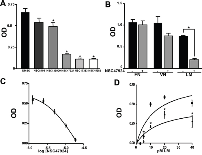 Five top-scoring molecules from SB-VS of a diversity library of small molecules inhibit LR-293 cell adhesion to LM; but, only one compound, NSC47924, shows specificity for LM.