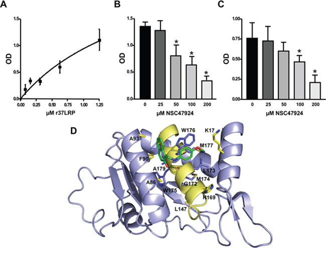 Structural basis of 67LR inhibition by NSC47924.