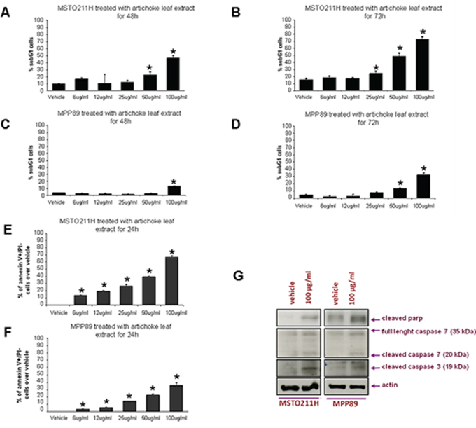 The artichoke leaf extract induces apoptosis of MPM cells.