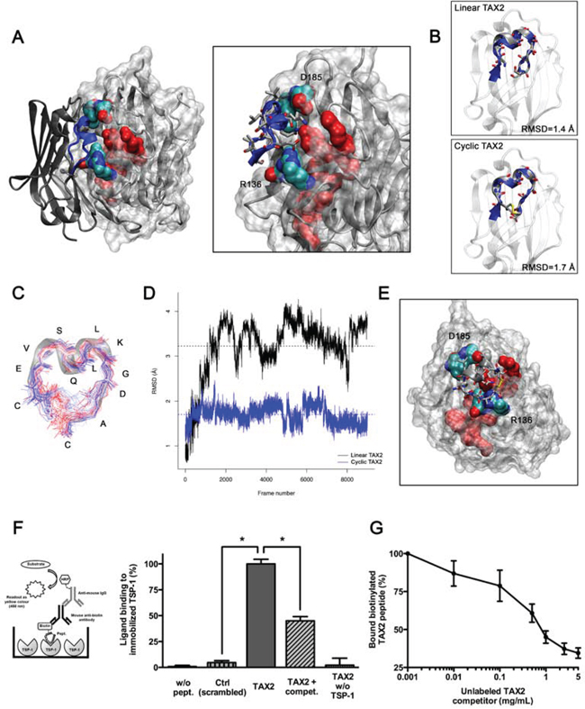 Identification and characterization of TAX2 peptides targeting the CD47-binding domain of TSP-1.