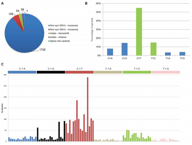 Coding somatic variants identified in the 12 pPCL samples.