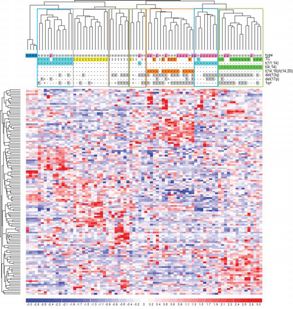 Hierarchical clustering of the 55 MM-21pPCL-4N dataset based on the expression levels of the 132 most variable and mutated genes.