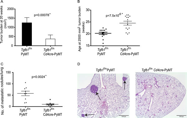 Deficiency of T cell TGF-&#946;1 inhibits mammary tumor development.