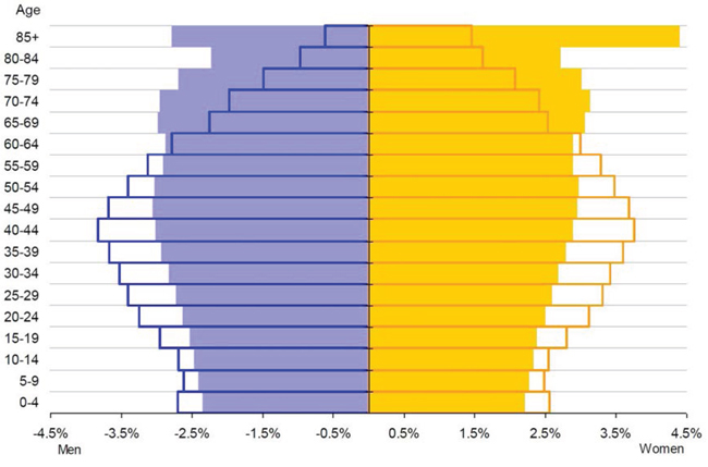 Age structure of the European population by gender and by five-year age groups [6].