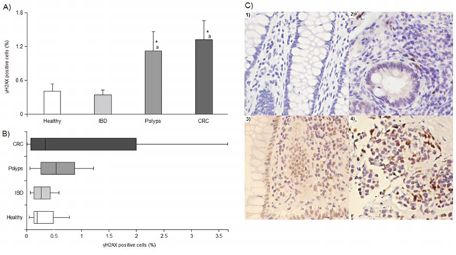 &#x03B3;H2AX immunohistochemistry results.