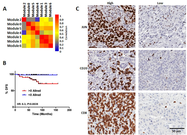 Validation of the BLBC network modules using and IHC TMA based approach.