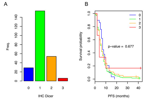 Dicer expression in the primary tumors of patients with mCRC and the related PFS.