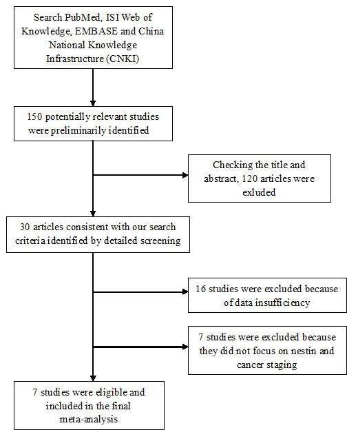 Flow chart of study selection.