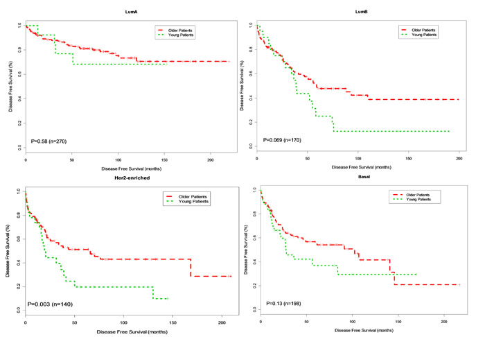 Kaplan-Meier DFS Curves for Young and Older Patients by Subtype.