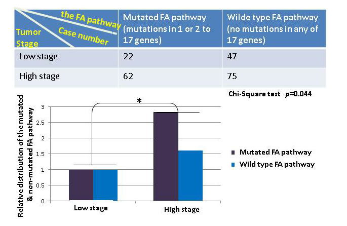 The mutated FA pathway is associated with the development of human bladder cancer.