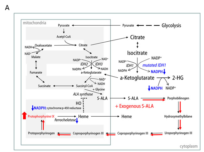 Figure 5: