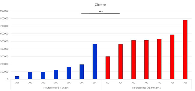 Citrate levels in tumor samples, measured by LC-MS.