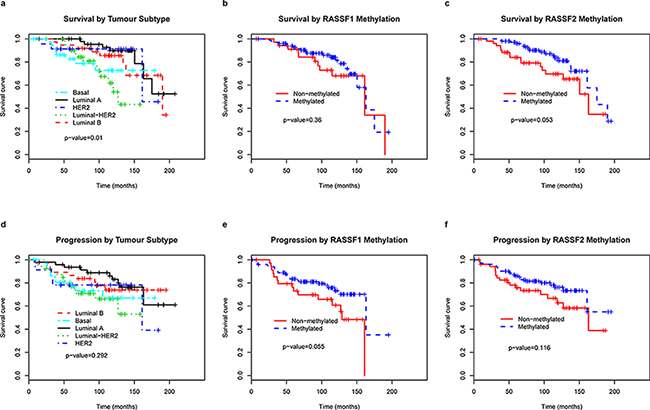 Kaplan&#x2013;Meier curves predicting the probability of death a, b, c and progression d, e, f in patients with breast cancer, by tumor subtype and RASSF1 and RASSF2 methylation status.