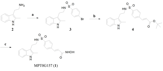 The synthesis of MPT0G157.
