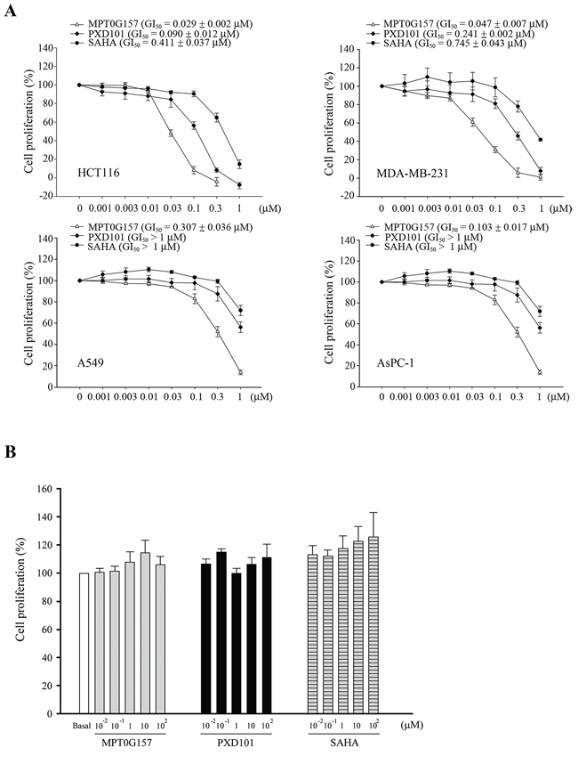 MPT0G157 inhibited tumor growth but less sensitive against normal bone marrow cells.