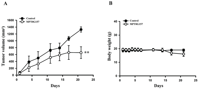 The effect of MPT0G157 in HCT116 xenograft model.