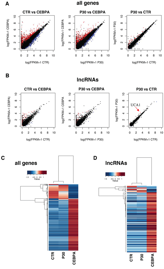 Global transcriptome profiling via RNA-Seq.