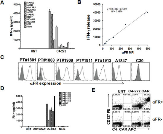 C4 CAR T cells secrete Th1 proinflammatory cytokine in response to tumor cell line and primary ovarian cancer cell surface associated &#x03B1;FR.