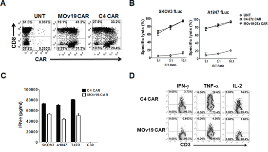 Comparison of anti-tumor activity of &#x03B1;FR-specific C4 and MOv19 CARs with CD27 costimulatory endodomain in vitro.