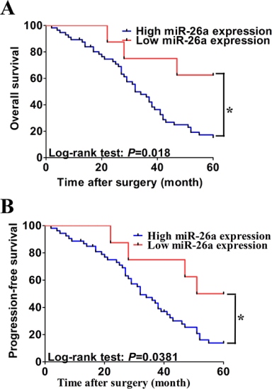 Association of serum miR-26a expression with progression-free and overall survival.