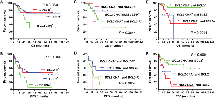 Overall survival and progression-free survival in cases grouped according to BCL2 CNA, BCL2 gene rearrangement and BCL2 expression 4A&#x2013;4B.