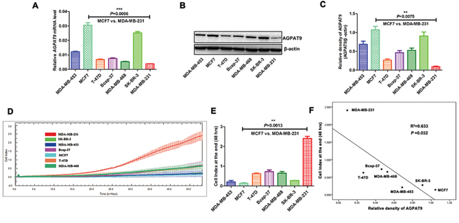 Association between AGPAT9 expression and tumor invasion.