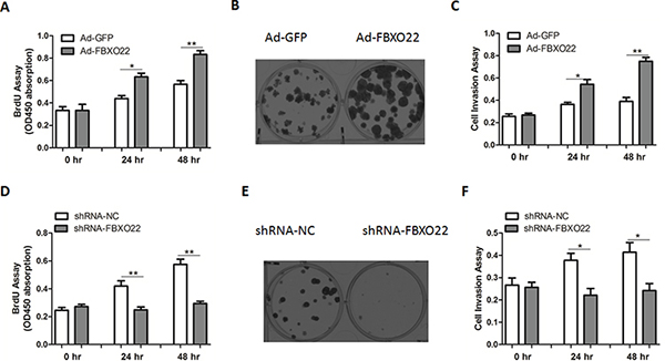 FBXO22 promotes HCC cell proliferation and invasion.