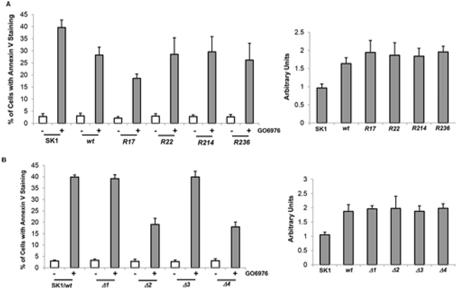 Effect of bcl-2 mutants on the induction of GO6976-mediated apoptosis.