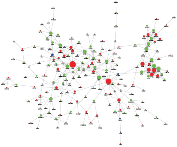 PPI sub-network of genes related to the aberrant DNA methylation sites.