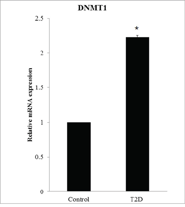 DNMT1 overexpression in patients with T2D.