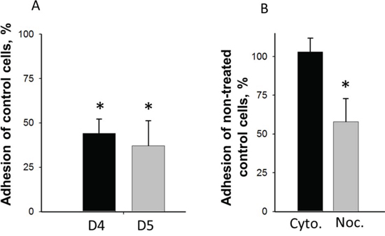 Effect of DIAPH1-depletion and inhibition of cytoskeletal dynamics on adhesion of non-stimulated HCT-116 cells.