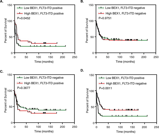 Overall survival of AML patients with higher and lower BEX1 expression.