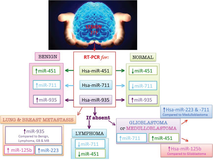 CSF Diagnostic Chart for CNS tumors.