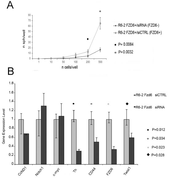 RNAi