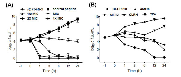 Dose- and time-dependent killing kinetics of TP4 against