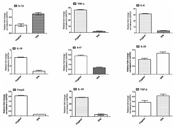 Effects of TP4 on expression of different inflammatory and anti-inflammatory genes in H.