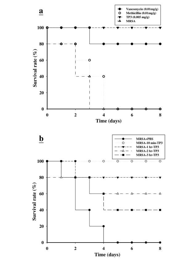Effects of tilapia piscidin 3 (TP3) treatment on mice infected with MRSA.