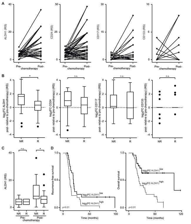 Frequency of CSCs during the course of the disease.