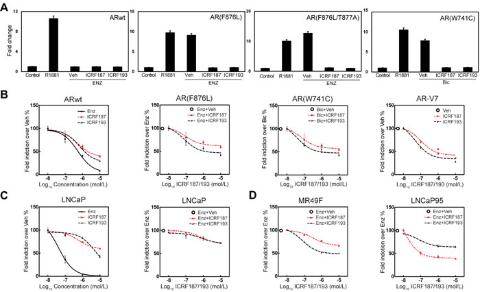 Topo II catalytic inhibitors suppress AR mutant and AR-V7 transcriptional activities.
